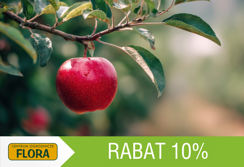 10% rabatu na drzewa i krzewy owocowe
